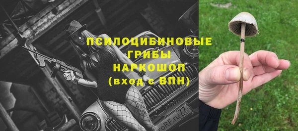 дмт Алексин