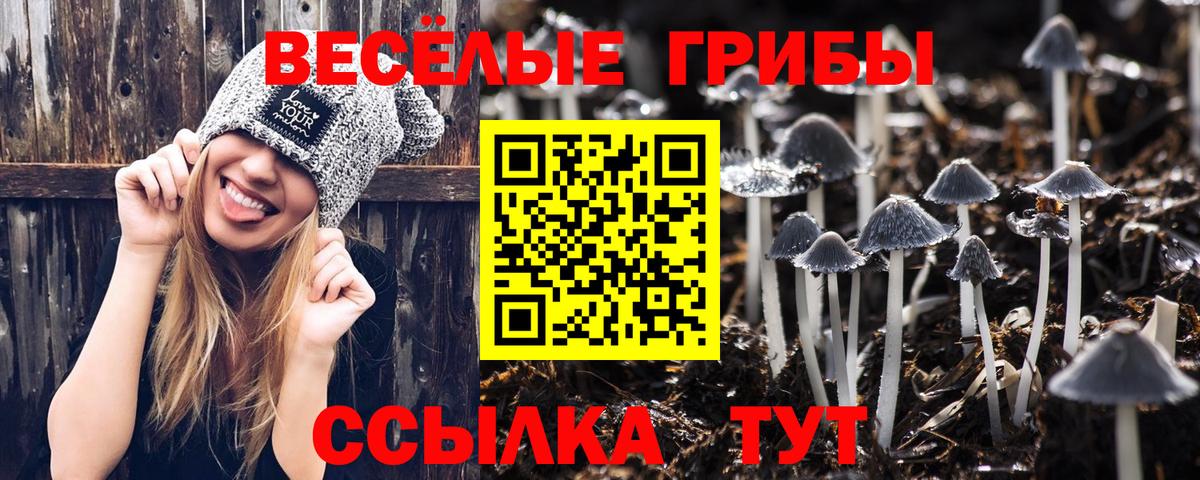 Апатиты  Псилоцибиновые грибы Cubensis  Вход с VPN 