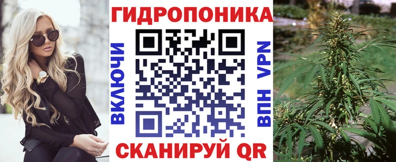 где продают   Апатиты  Конопля тримм 
